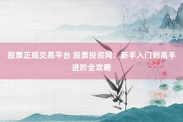 股票正规交易平台 股票投资网：新手入门到高手进阶全攻略