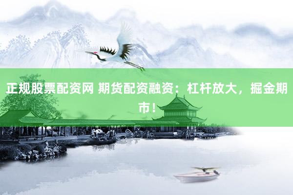 正规股票配资网 期货配资融资：杠杆放大，掘金期市！