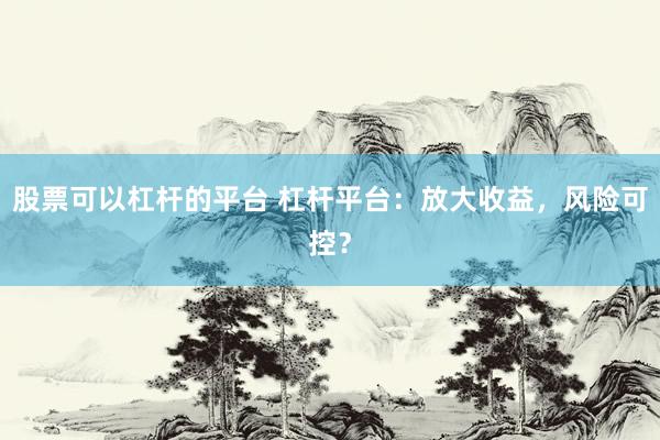 股票可以杠杆的平台 杠杆平台：放大收益，风险可控？