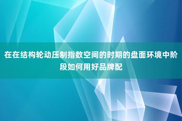 在在结构轮动压制指数空间的时期的盘面环境中阶段如何用好品牌配