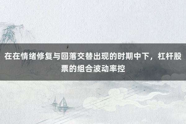 在在情绪修复与回落交替出现的时期中下，杠杆股票的组合波动率控