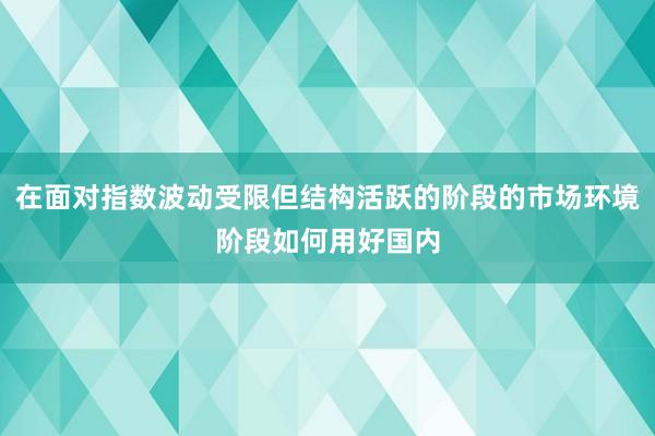 在面对指数波动受限但结构活跃的阶段的市场环境阶段如何用好国内