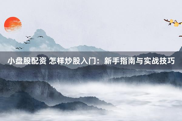 小盘股配资 怎样炒股入门：新手指南与实战技巧