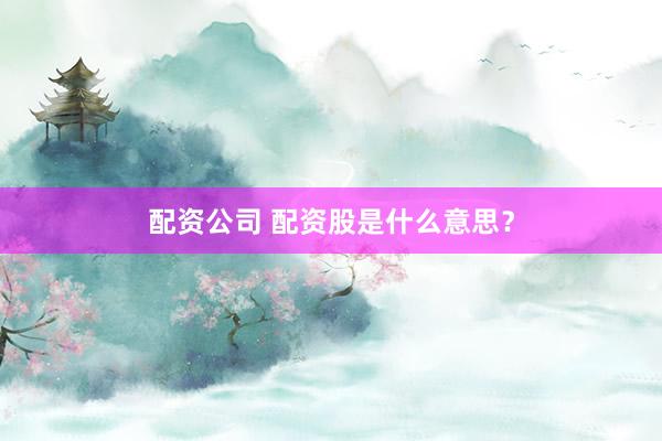 配资公司 配资股是什么意思？