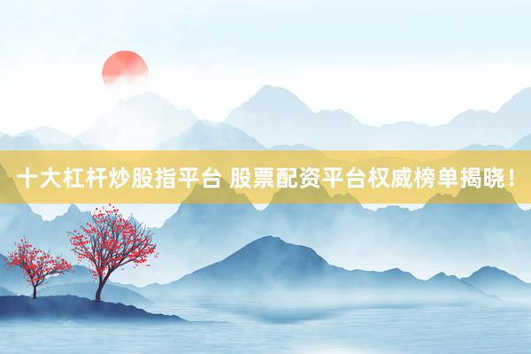 十大杠杆炒股指平台 股票配资平台权威榜单揭晓！