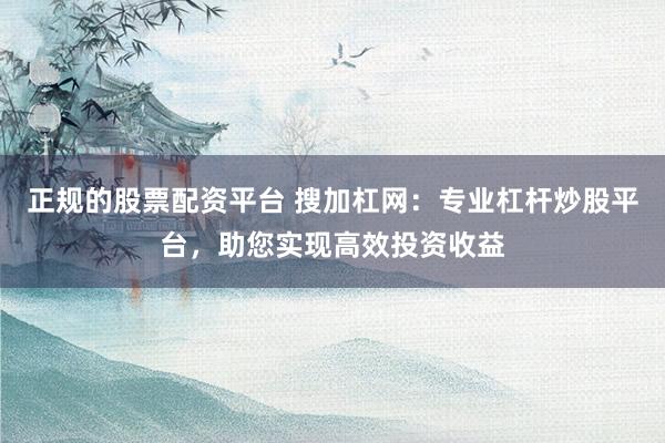 正规的股票配资平台 搜加杠网：专业杠杆炒股平台，助您实现高效投资收益